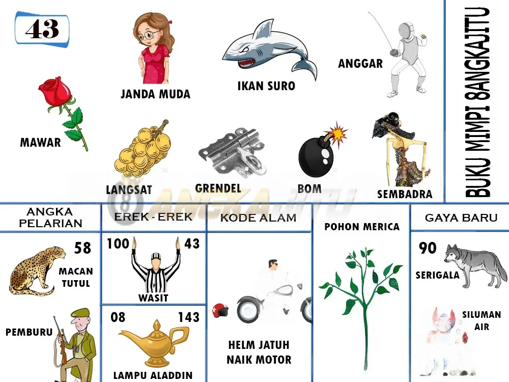 buku mimpi erek erek togel 43